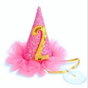 2 year old birthday hat